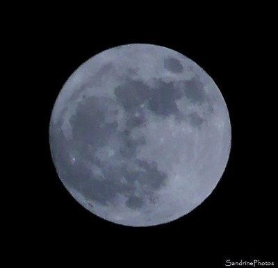 Pleine lune du 1er janvier 2018, Première pleine lune de l`année, Refuge LPO Le Verger, Bouresse 86, Sud-Vienne, SandrinePhotos Esprit Nature (36)