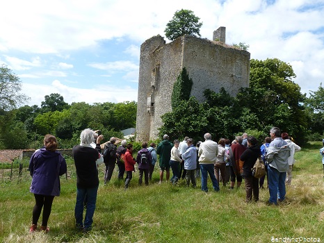 P`tite balade du Pays Montmorillonnais, Bouresse, avec Béatrice Guyonnet, Château de la Rigaudière, Poitou-Charentes, 2013 (12)