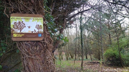 Refuge LPO de la Planchette, Queaux, Biodiversité des Bords de Vienne 86(10)