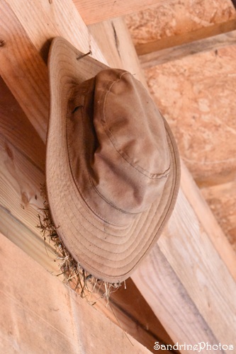 Rougequeue, nid dans un chapeau (81).jpg