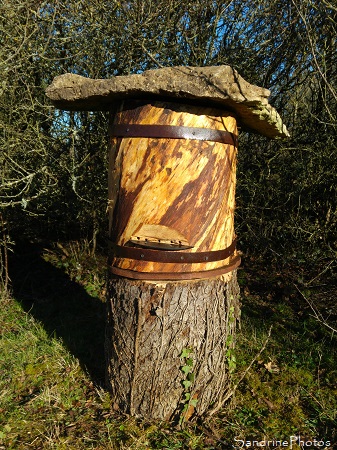 Ruche-tronc, abeilles, Apiculture, Le Verger, Refuge LPO Bouresse, Sud-Vienne