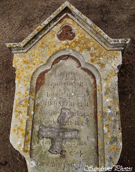 Tombe de Laprade Louis Antoine Martin, Docteur en médecine, Cimetière de Bouresse, Poitou-Charentes 86, SandrinePhotos Esprit Nature, Novembre 2015