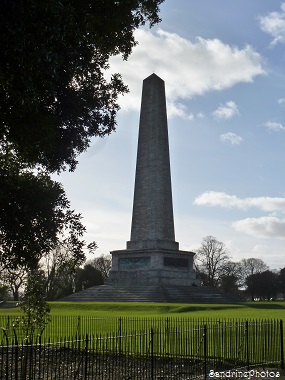 Wellington Monument, Obelisk, Obélisque, Phoenix Park, Irlande-Dublin-2014